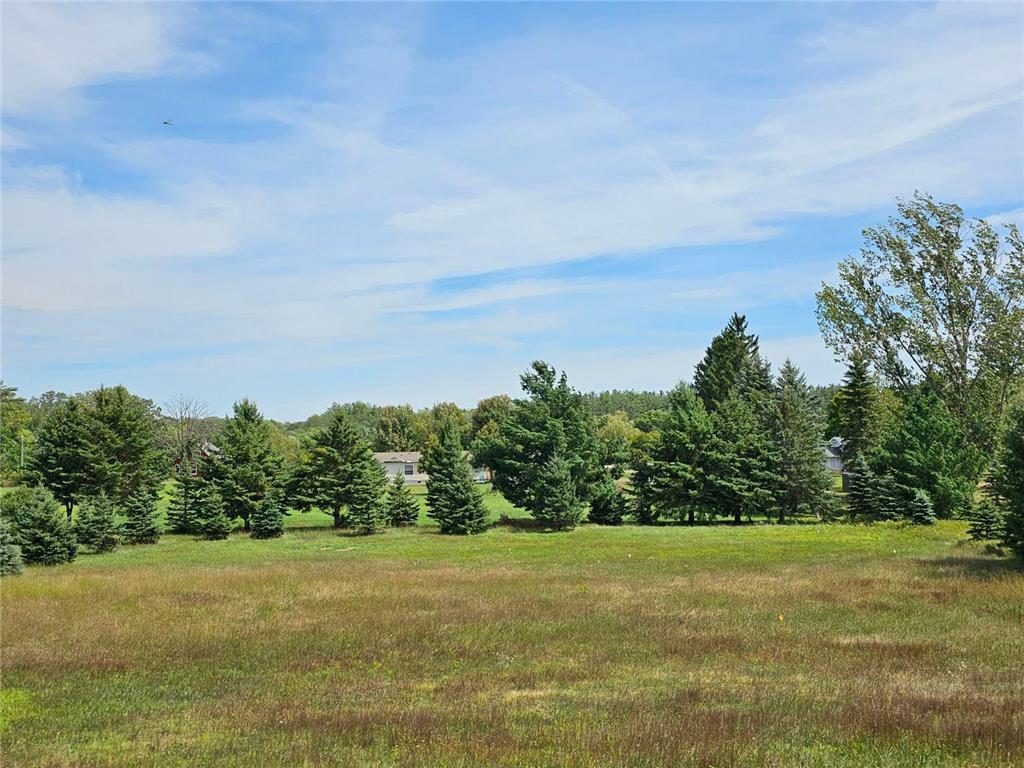 Tree lined side of lot