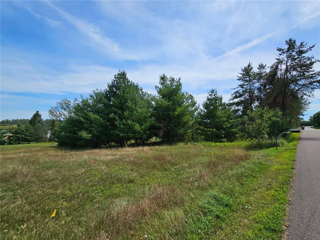 View towards middle looking at back of lot