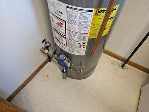 909 Bradford Avenue, Argyle, MN 56713