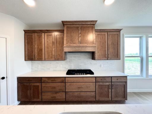 Cooktop and Vented Wood Hood
