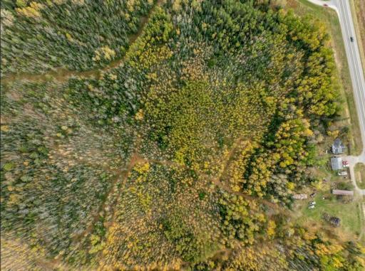 Screenshot 2025-10-10 105305.jpg