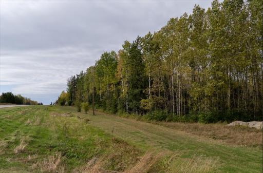 Screenshot 2025-10-10 105740.jpg