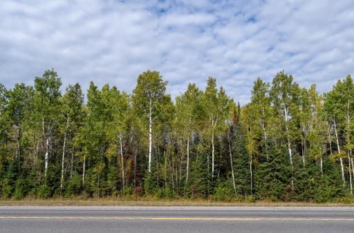 Screenshot 2025-10-10 105613.jpg