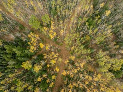 Screenshot 2025-10-10 105549.jpg