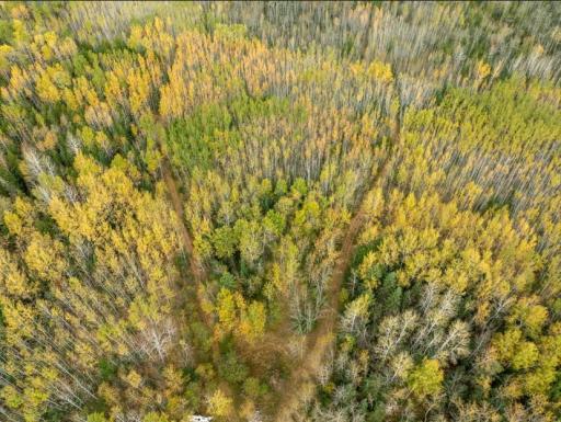 Screenshot 2025-10-10 105524.jpg