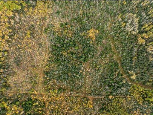 Screenshot 2025-10-10 105356.jpg