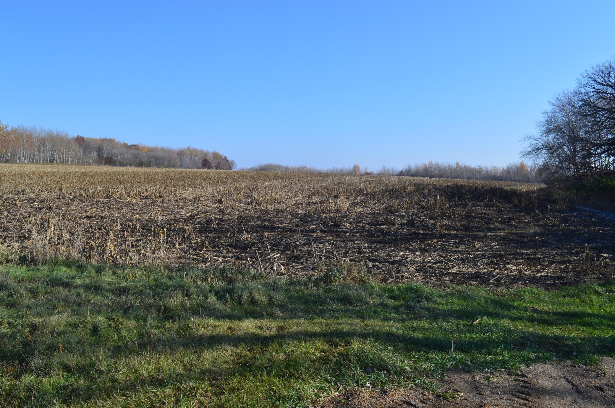 DSC_0048.JPG