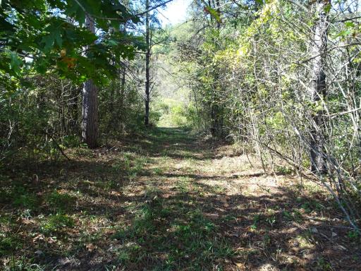 W9050 372nd Avenue, Hager City, WI 54014