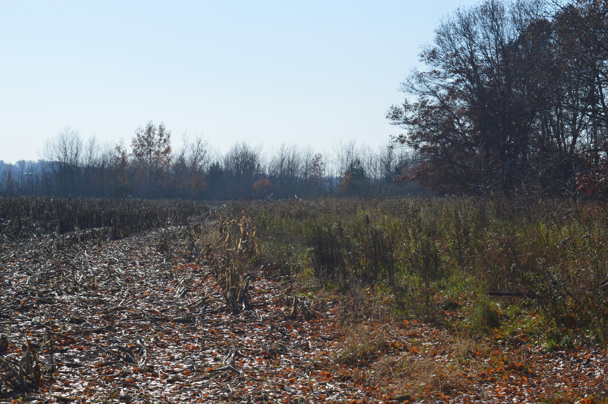 DSC_0050.JPG