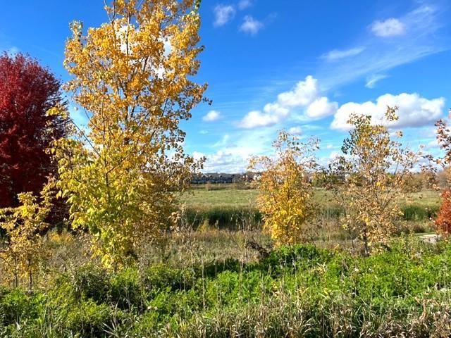 View from Lots 4 & 5 highlighting the surrounding area.