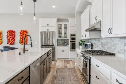 4869 Linden Cove Lane, Savage, MN 55378