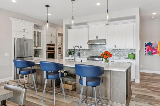 4869 Linden Cove Lane, Savage, MN 55378