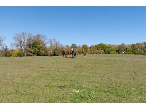 3035 Lake Sarah Road, Maple Plain, MN 55359