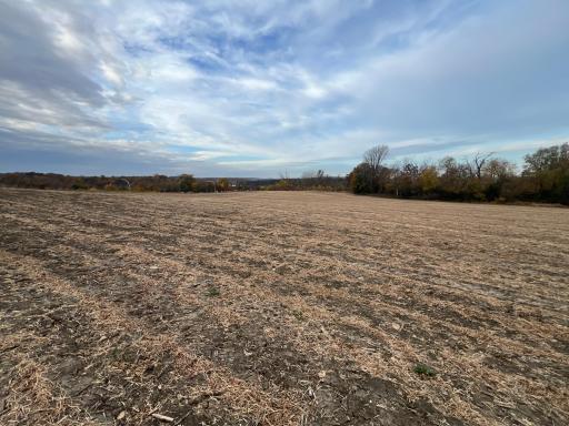 tbd- County 24 Boulevard, Cannon Falls, MN 55009