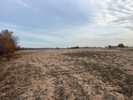 tbd- County 24 Boulevard, Cannon Falls, MN 55009