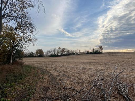 tbd- County 24 Boulevard, Cannon Falls, MN 55009