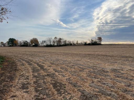 tbd- County 24 Boulevard, Cannon Falls, MN 55009