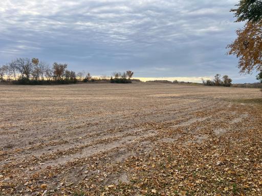 tbd- County 24 Boulevard, Cannon Falls, MN 55009
