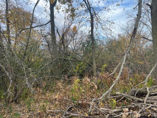 tbd- County 24 Boulevard, Cannon Falls, MN 55009
