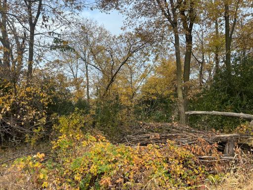 tbd- County 24 Boulevard, Cannon Falls, MN 55009