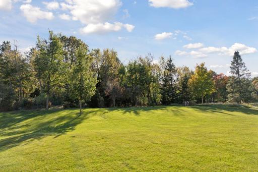 Enjoy ultimate privacy with this huge nearly 1/2-acre lot. Great for entertaining and play.