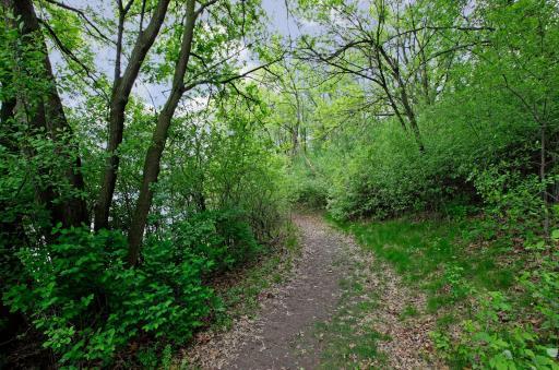 Lebanon Hills Regional Park trail.