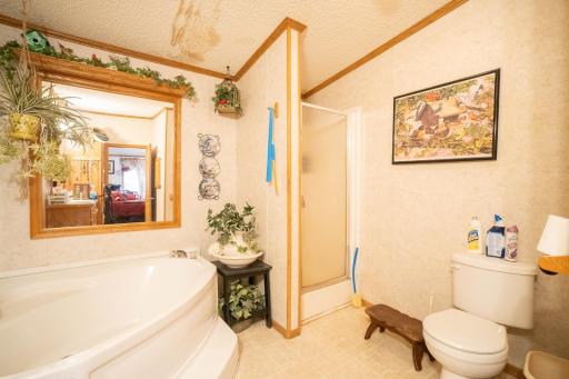 15229 County Road 13, Menahga, MN 56464