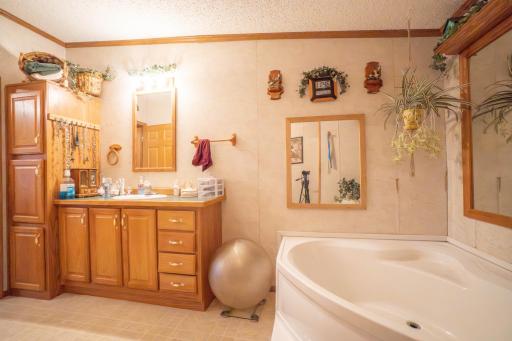 15229 County Road 13, Menahga, MN 56464