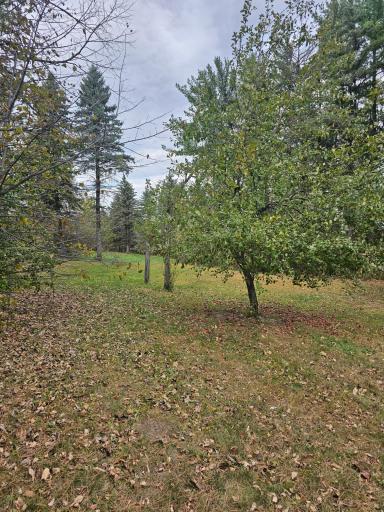 30409 County Highway 1, Underwood, MN 56586