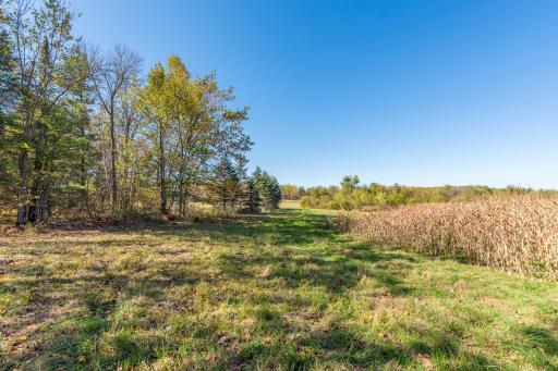 30205 190th Lane, Isle, MN 56342