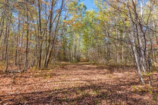 30205 190th Lane, Isle, MN 56342