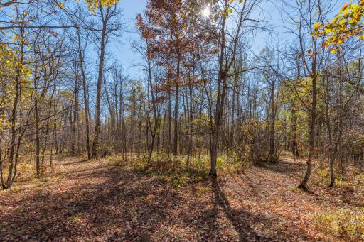 30205 190th Lane, Isle, MN 56342