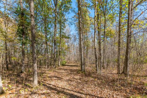 30205 190th Lane, Isle, MN 56342