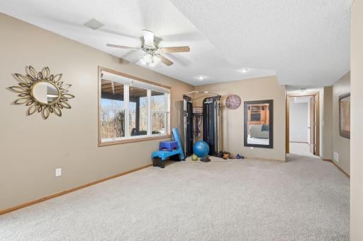 Multiple flex spaces in the lower level for home office, gym and more.