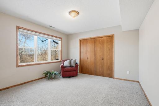 The fourth bedroom on the lower level offers a large closet and is perfect for a future guest room.