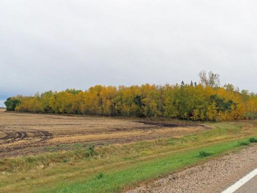 Photo for 11614 140th Avenue SE, Saint Hilaire, MN 56754 - Listing #6804538 11614 140th Avenue SE, Saint Hilaire, MN 56754