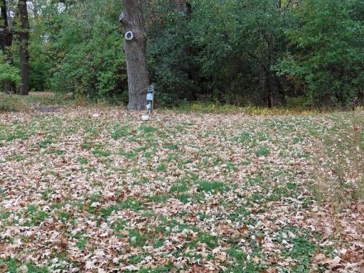 Photo for 11614 140th Avenue SE, Saint Hilaire, MN 56754 - Listing #6804538 11614 140th Avenue SE, Saint Hilaire, MN 56754