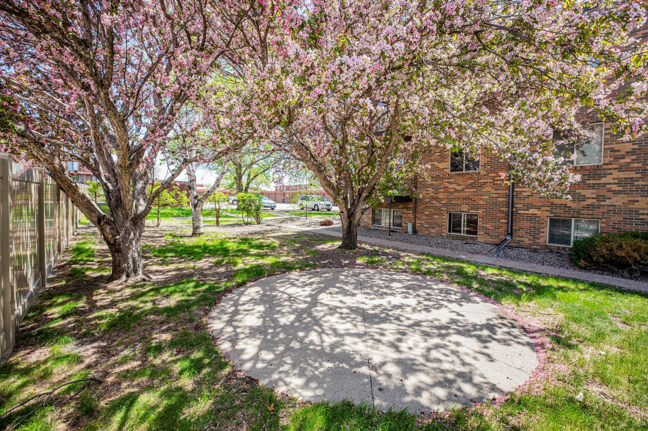 Yard/View