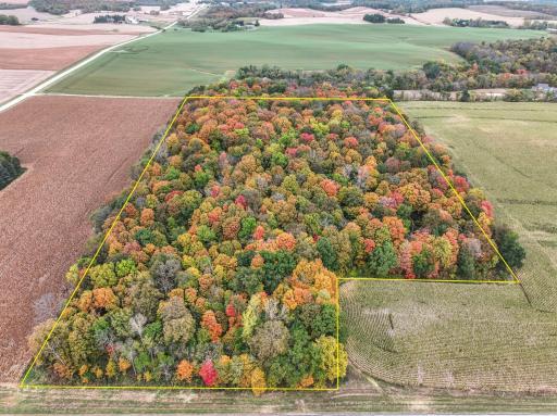 tbd 75th Street NW, Pine Island, MN 55963