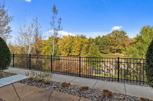 View from patio - elevated high above Lake Road.
