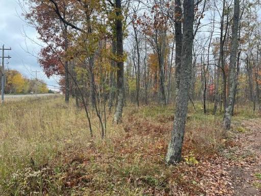 81091 Denham Road, Willow River, MN 55795