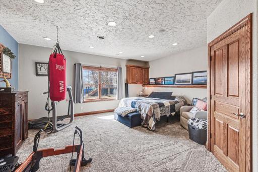 Carpeted, recessed lighting, ground level southern window, large spacious walk in closet