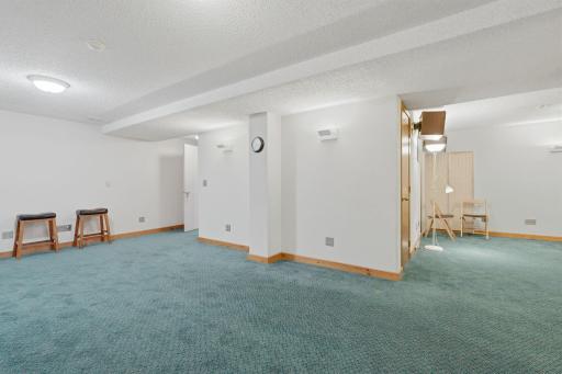 Large finished lower level perfect for entertainment.