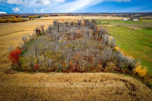 XXXXX White Oak Road, Pine City, MN 55063