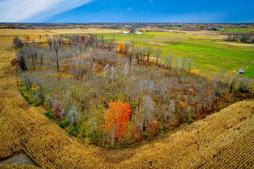XXXXX White Oak Road, Pine City, MN 55063