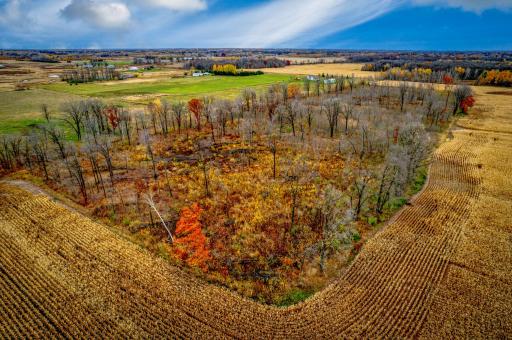 XXXXX White Oak Road, Pine City, MN 55063