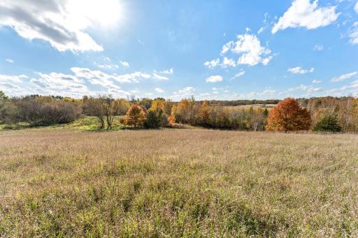 This property offers multiple possible building sites.