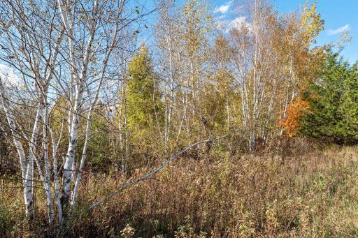 This gorgeous property is the perfect spot to build your dream home!