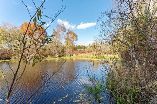This property includes a pond, which offers gorgeous views.