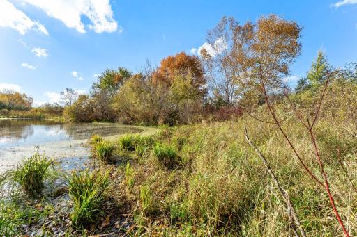 This property includes a pond, which offers gorgeous views.